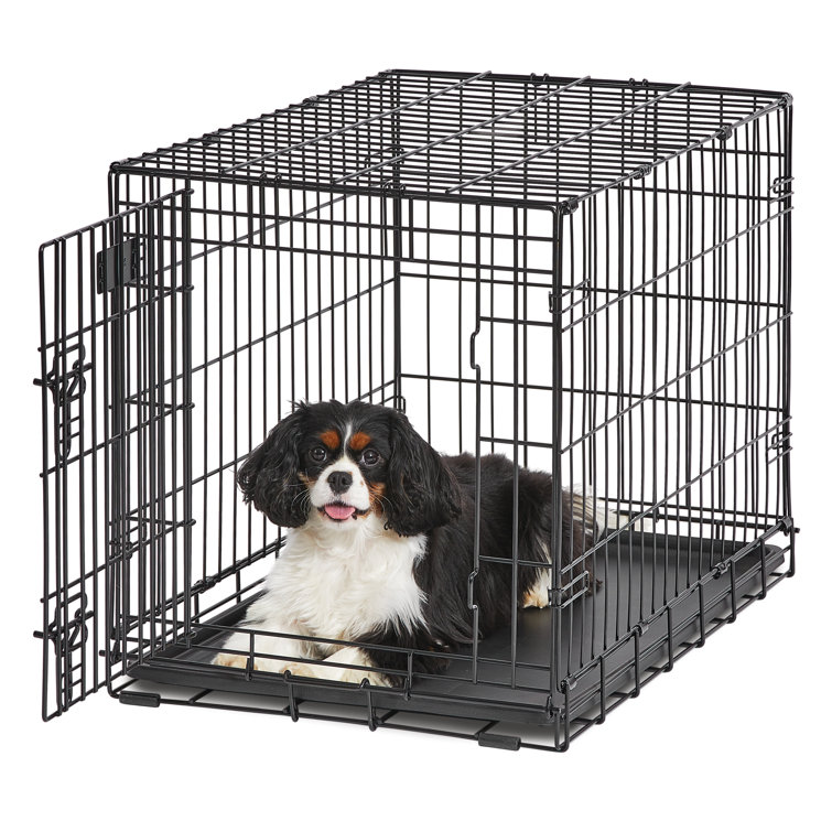 MidWest Homes for Pets Life Stage Single Door Dog Crate Reviews